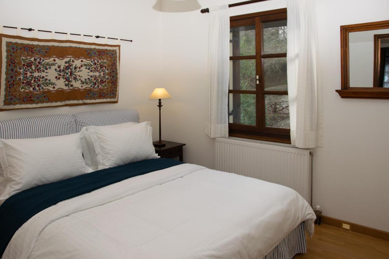 Θαλλώ Luxurious Villa Tsagarada Luaran gambar