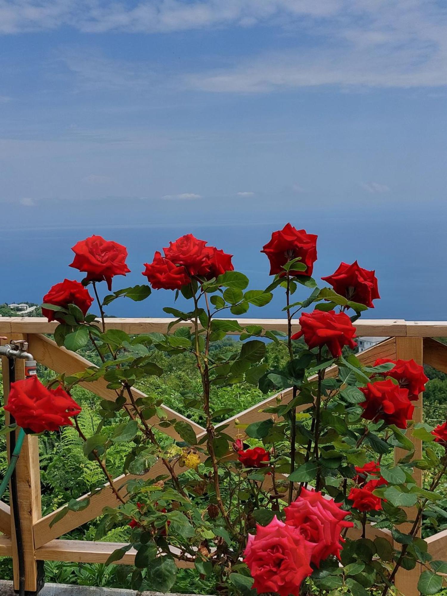 Θαλλώ Luxurious Villa Tsagarada Luaran gambar