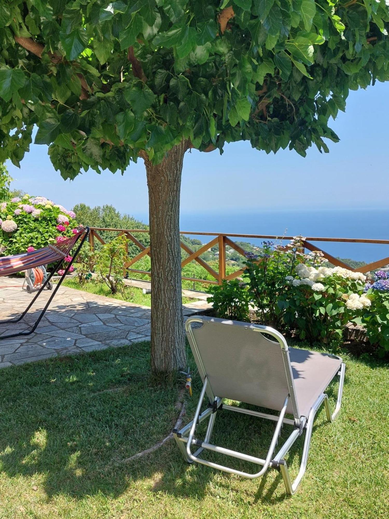 Θαλλώ Luxurious Villa Tsagarada Bilik gambar